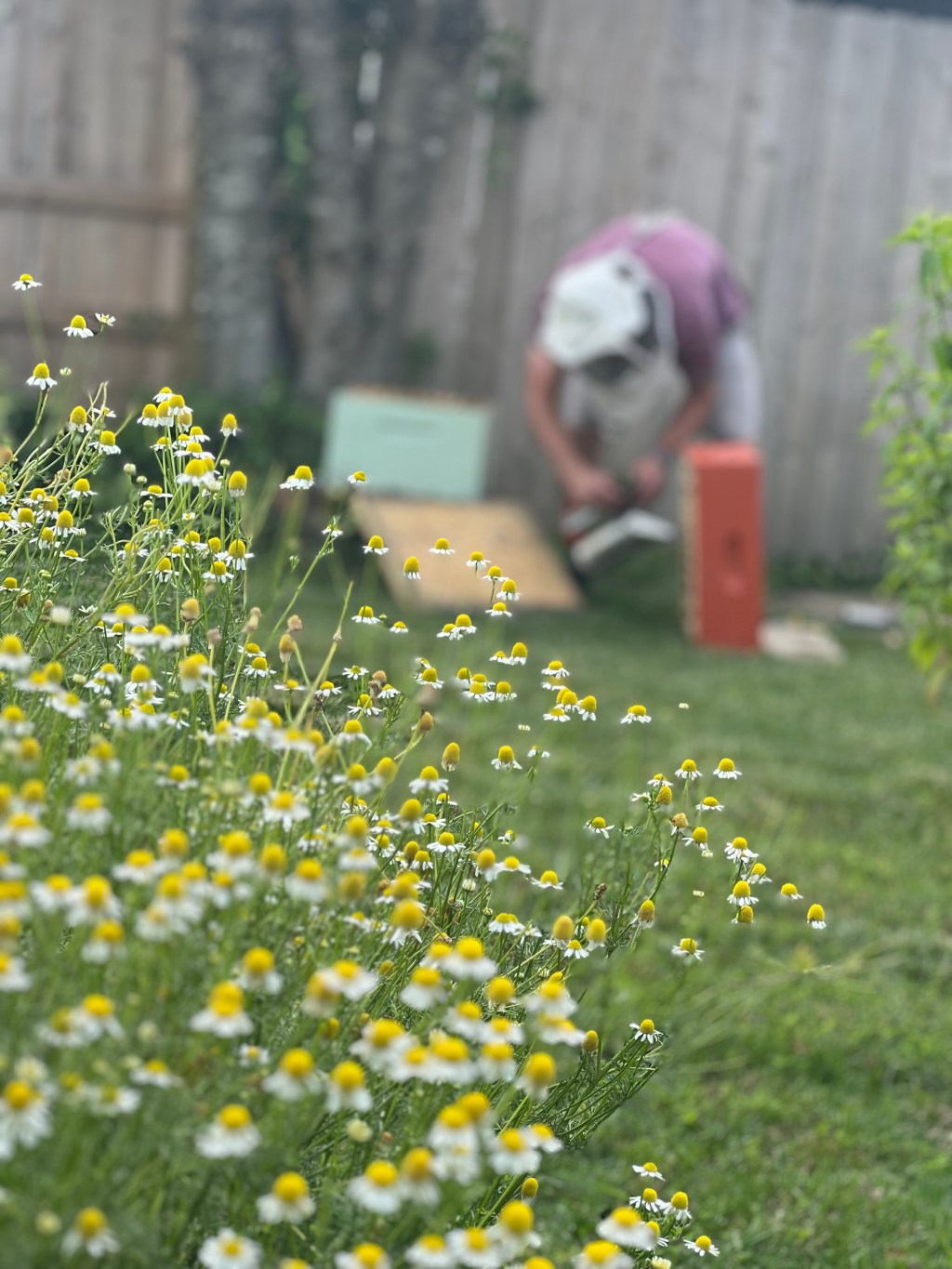 Tending My Mind: Herbs, Healing, and the Long Road of Mental&nbsp;Health