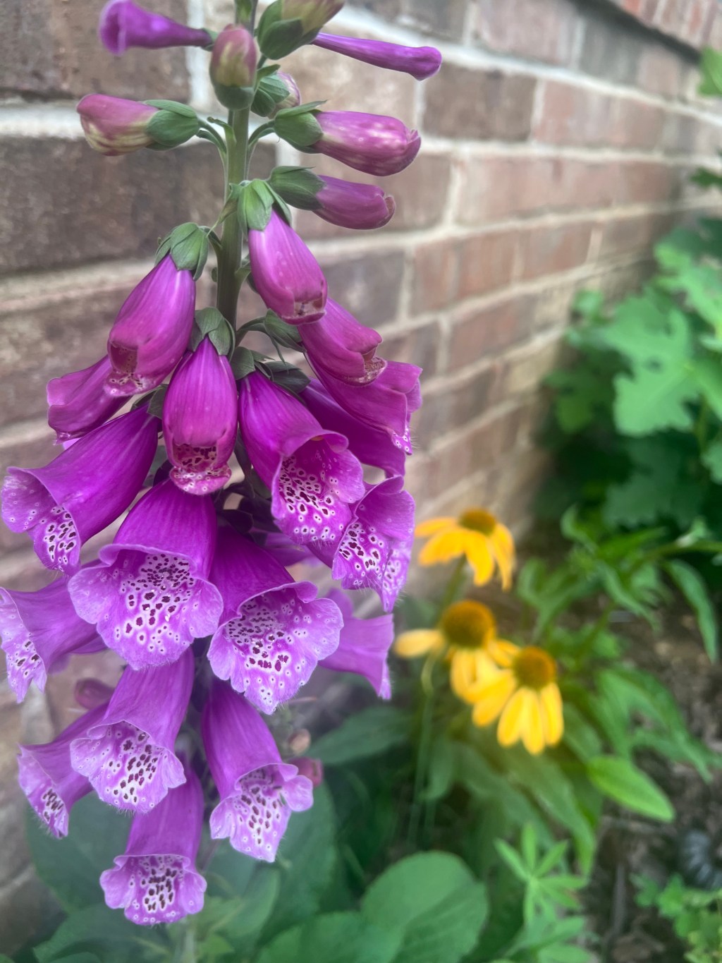 Unlearning Systems: A Path to Collective Hope and&nbsp;Action